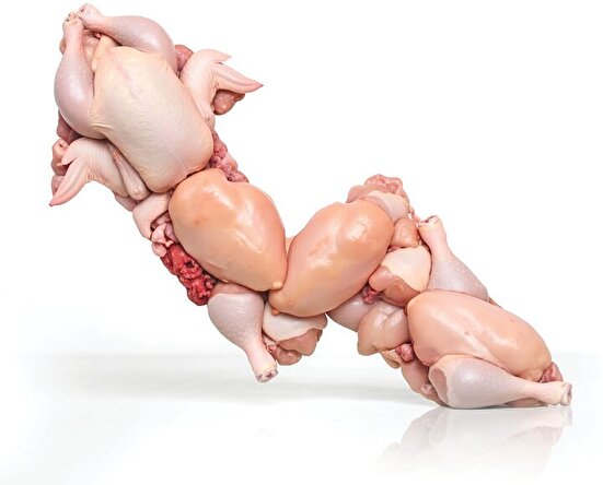 قیمت مرغ از این هم بالاتر می‌پرد؟