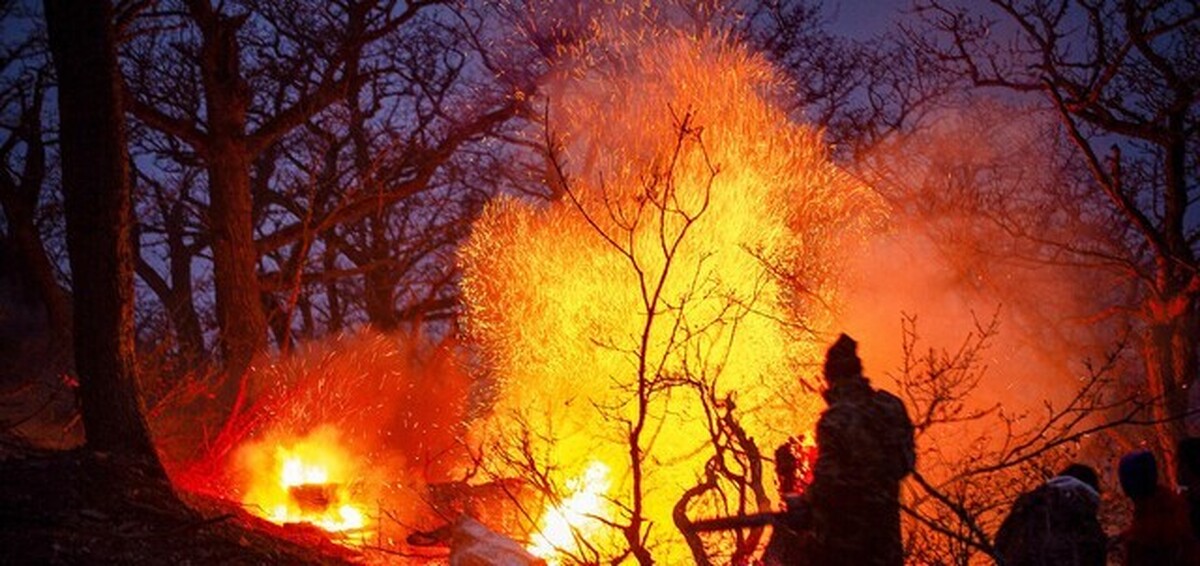 آخرین وضعیت آتش‌سوزی در جنگل‌های هیرکانی؛ عملیات اطفای حریق کی به پایان می‌رسد؟