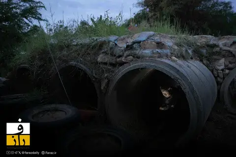 درگیری مرزی تایلند و کامبوج وارد هفته دوم شد؛ دهها کشته و صدها هزار آواره