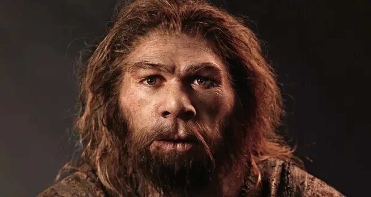 آیا نئاندرتال‌ها به خدا اعتقاد داشتند؟ | شواهد باستان‌شناسی چه می‌گوید؟