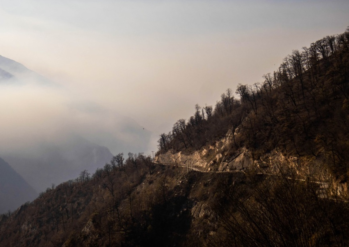 آتش‌سوزی اخیر ۱۰ هکتار از جنگل الیت چالوس را نابود کرد