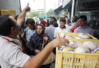 رد پای مافیای دانه در جنجال جوجه کشی