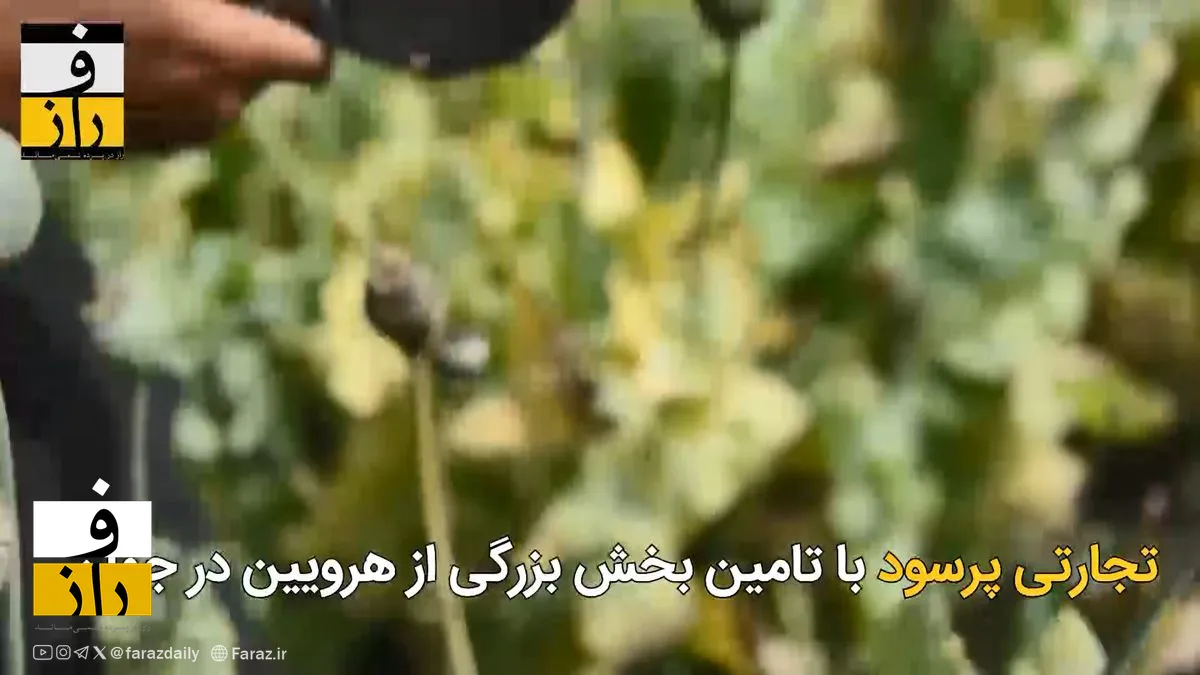 پول طالبان از کجا می‌رسد؟