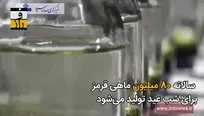 گردش ۲۲میلیاردی ماهی قرمز