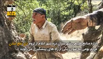 ادغام سازمان جنگلداری در وزارت کشاورزی؛ آتش زیر خاکستر
