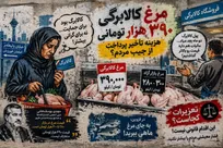 مرغ کالابرگی گران‌تر از قیمت بازار| فروشنده می‌گوید حق داریم چون پول کالابرگ دو ماه بعد می‌رسد!