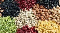 دانه های کمیاب و گران این روزها