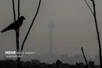 بازگشت آلودگی هوا به تهران | شاخص به ۱۲۸ رسید
