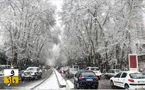 آماده‌باش البرز برای برف و باران چهارشنبه | یخبندان ۱۱ درجه‌ای در شهرستانک ثبت شد
