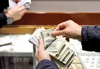 معاون بانک مرکزی: احتمال عرضه ارز تقلبی بالاست