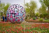 درب باغ گل‌ها رو به شهروندان کرجی گشوده شد