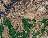 بمباران انبار نفت، درختان چیتگر را خشک کرده است؟