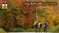 تیشه بر جان جنگل‌های ایران