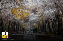 ورود سامانه بارشی جید از چهارشنبه به غرب کشور