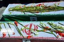 شهادت  سربازان گمنام امام زمان فارس در مقابله با تروریست‌ های مسلح