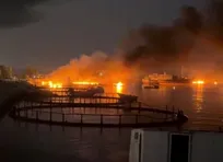 بحران در تنگه هرمز؛ آیا حملات هوایی آمریکا می‌تواند ایران را تسلیم کند یا تنها آتش جنگ را شعله‌ورتر می‌کند؟